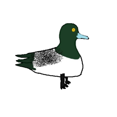 Bergand