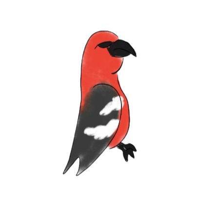 Båndkorsnebb
